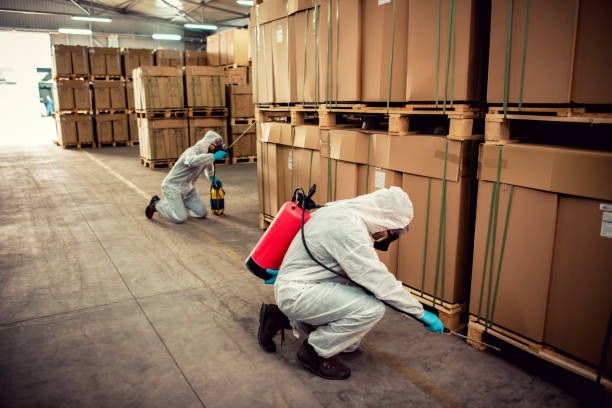 Best Affordable Pest Control Services  in Rifle, CO