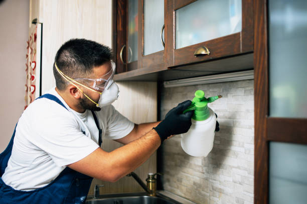 Best Pest Prevention Services  in Rifle, CO