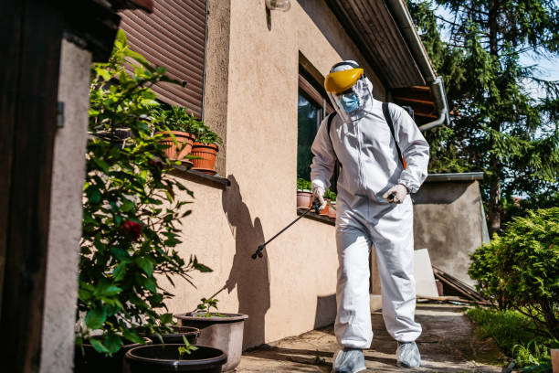 Best Affordable Pest Control Services  in Rifle, CO