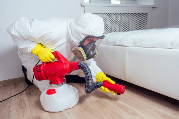Flea Control Services in Rifle, CO