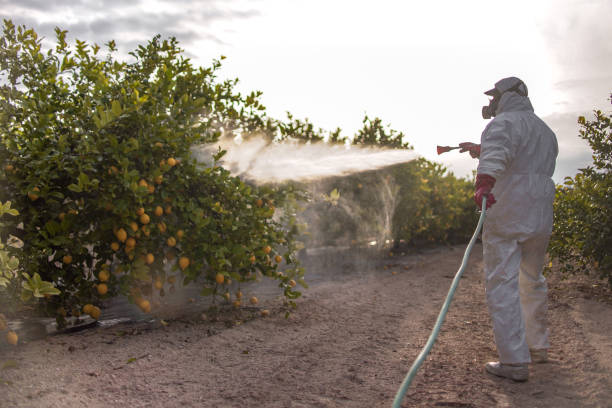 Best Mosquito Control Services  in Rifle, CO